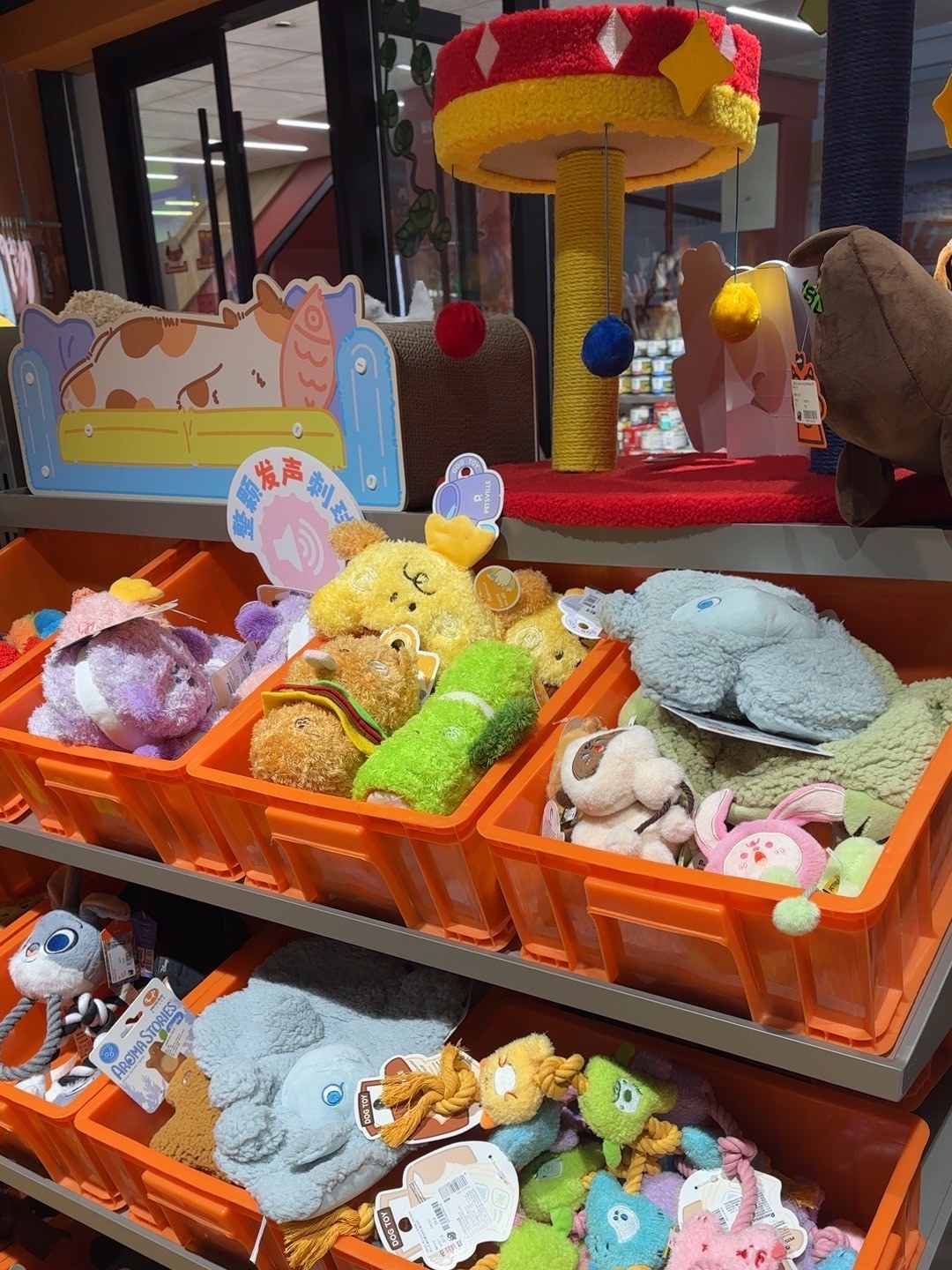 寵物超市中的寵食天地 品質與環境的雙重保障