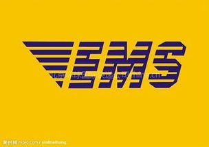 青島進(jìn)口代理與EMS快遞清關(guān) 專業(yè)服務(wù)與廣告設(shè)計(jì)策略